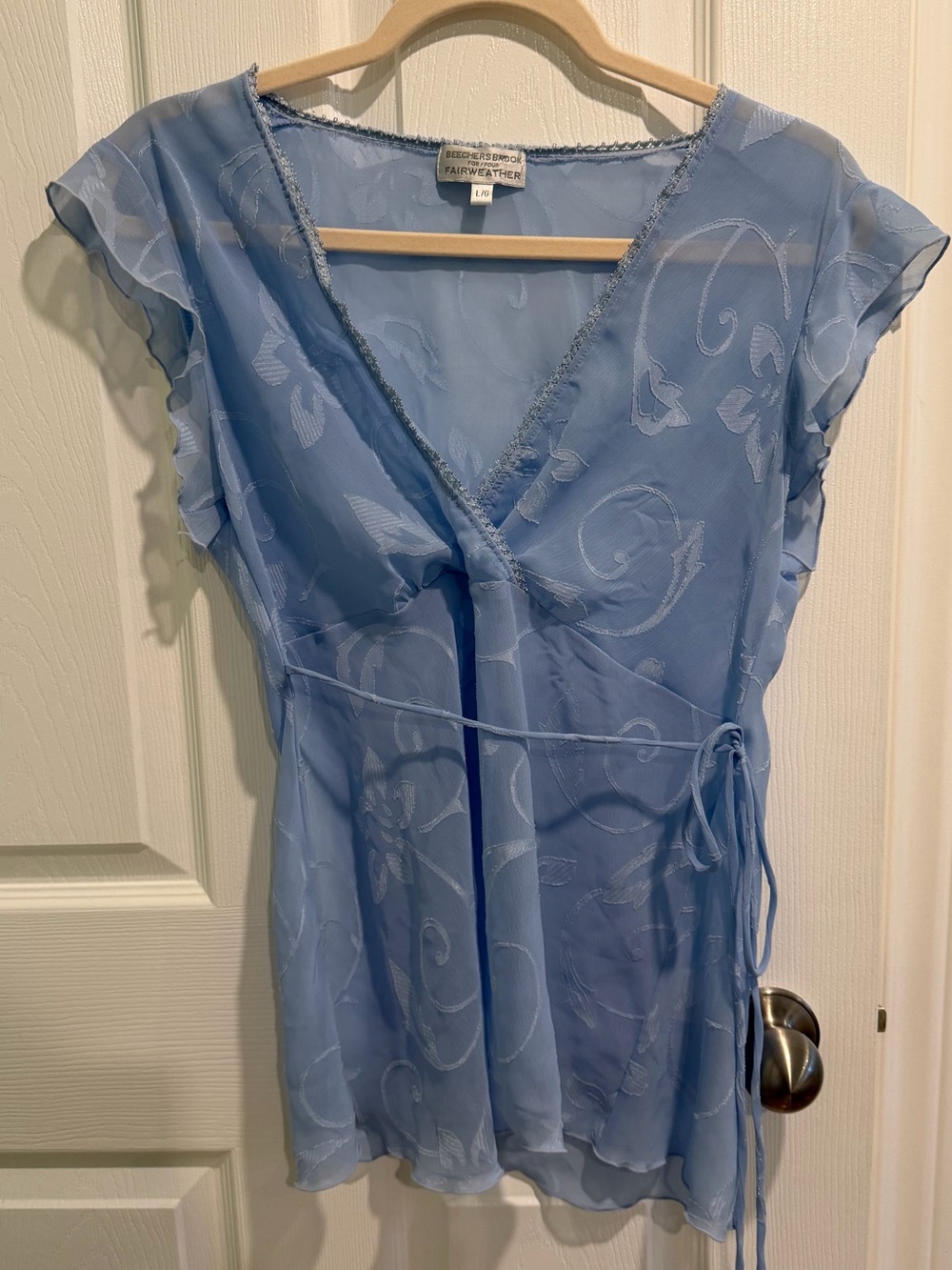 Y2K Whimsy Fairy Pale Blue Sheer Flutter Sleeve Top